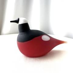 イッタラ ヌータヤルヴィ バード マウンテンレッドスタート