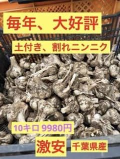 千葉県産 割れニンニク 10キロ 9980円 千葉県産 割れニンニク 10キロ 9980円 - メルカリ