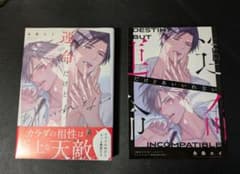 運命だけどあいいれない　永条エイ　特典　小冊子のサムネイル