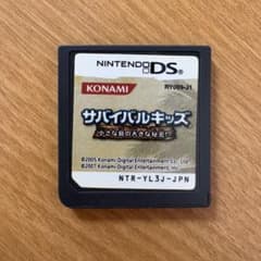 サバイバルキッズ 小さな島の大きな秘密!? ニンテンドーDSのサムネイル