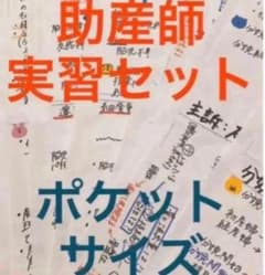 助産ノート 全セット 237ページ! 助産師 助産学生 助産師実習セット ポケットサイズ まとめノート 看護