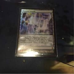 MtG 溢れかえる岸辺 Flooded Strandのサムネイル