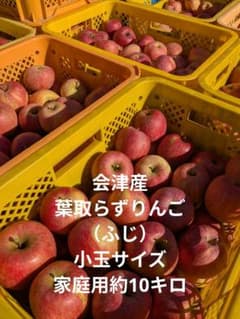 会津産 葉取らずりんご（ふじ） 小玉サイズ 家庭用約10キロのサムネイル