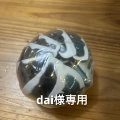 いきもの大図鑑アドバンス　ダンゴムシ ゼブラダンゴムシのサムネイル