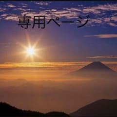 みほちむ様専用★のサムネイル
