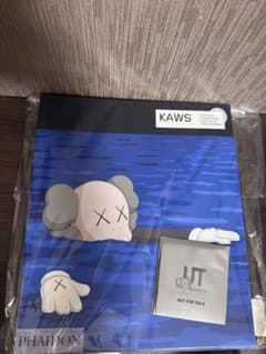 ユニクロ x KAWS  ARTBOOK アートブックのみ　カウズのサムネイル