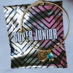 もも様専用 SJ a-nation バングル イトゥクのサムネイル