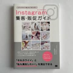 Instagram集客・販促ガイド ビジュアルで"買いたい"をつくる!のサムネイル