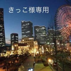 サンタ服^_^のサムネイル