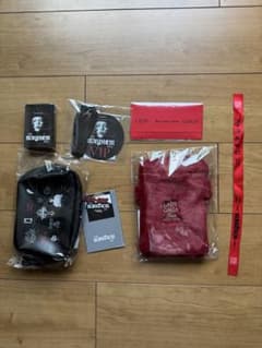 Lady Gaga VIP Gold ガガ グッズ ファブリックポスター以外全部 - メルカリ