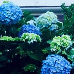 パット付きロングワンピ！のサムネイル