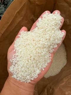 令和7年 静岡産 】30KG 精米 農家から直送 - メルカリ