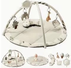 ベビージム 知育玩具 5点セット　Fortella ベビージム プレイジムのサムネイル