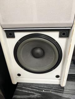 BOSE 301 MONITOR White Pair - Sound Tested