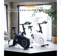 ALINCO アルインコ フィットネスバイク BK1521ホワイト - メルカリ