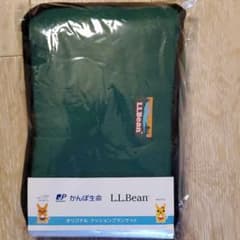 新品  L.L.Bean オリジナルクッションブランケットのサムネイル