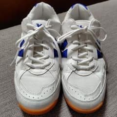 教育シューズ　体育館シューズ　26.0cm