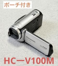 動作品 Panasonic HC-V100M ハンディカム ビデオカメラ - メルカリ