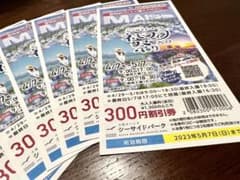ネモフィラ祭り2023 割引券6枚セット①のサムネイル