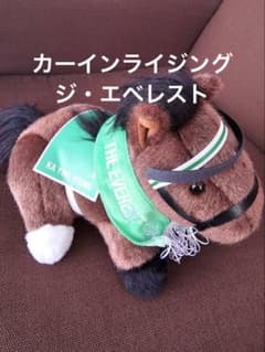 カーインライジング　ジ・エベレスト　ぬいぐるみ　香港国際競走　現地物日本未発売 カーインライジング ジ・エベレスト ぬいぐるみ 香港国際競走 現地物