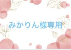 みかりん様専用です*ˊᵕˋ*のサムネイル
