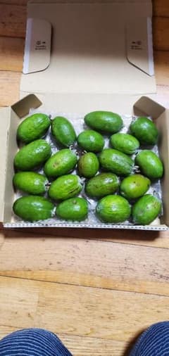 フェイジョア無農薬ラスト1個のサムネイル