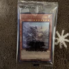 遊戯王　日本選手権プロモカード　THE LADY’S PROTECTORS The Lady's Protectors 遊戯王ocg プロモーションカード - メルカリ
