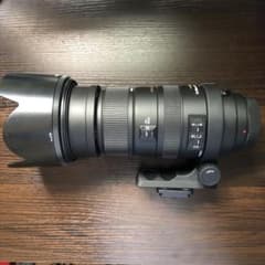 SIGMA APO 50-500mm F4.5-6.3 DG ＋LA-EA3のサムネイル