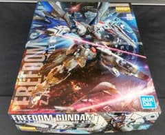 MG 1/100 프리덤 건담 Ver.2.0 반다이 건프라