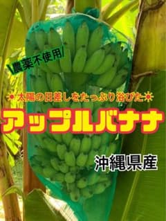 沖縄県産　アップルバナナのサムネイル