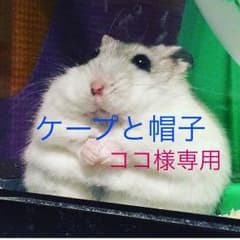 ☆ココ様専用☆のサムネイル