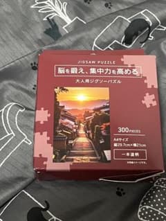 大人用ジグソーパズル 300ピース 一本道柄 A4サイズ - 2