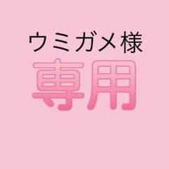 ウミガメ様専用のサムネイル