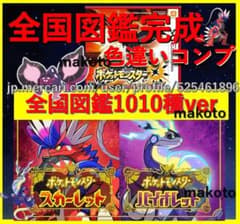 専用コメント追加3DS ポケットモンスター ウルトラサン 3DS ポケットモンスター ウルトラサン - メルカリ
