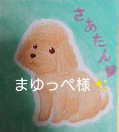 まゆっぺ様ご確認ページ✨のサムネイル