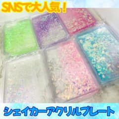 まりんこ様【SNS大流行】シェイカー アクリルプレート キーホルダーのサムネイル