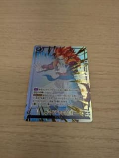 ビッグバンかめはめ波 パラレル リミテッド fb09-120 - メルカリ