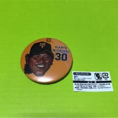 ジャイアンツ 宮國カンバッジのサムネイル