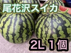 もぎたて！尾花沢スイカ 2L 1個のサムネイル