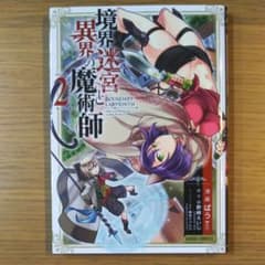 境界迷宮と異界の魔術師 2のサムネイル