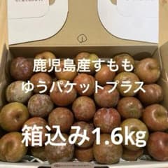 ①ゆうパケ　箱込み1.6㎏　鹿児島産すもも　無農薬　農薬不使用　プラム　硬めのサムネイル