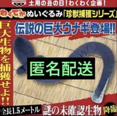 わくでかぬいぐるみ 珍獣捕獲シリーズ ～伝説の巨大ウナギ～全長1.5m