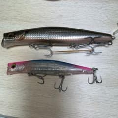 カゲロウ155f 124fのサムネイル
