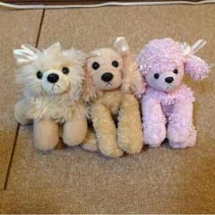 犬のぬいぐるみ♡のサムネイル