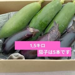 ◆鮮度抜群 ◆新鮮な青パパイヤと茄子の詰め合わせ　茄子は5本付けます