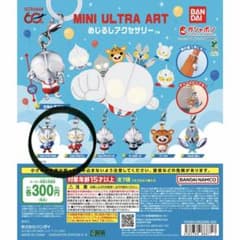 MINI ULTRA ART めじるしアクセサリー ガチャのサムネイル