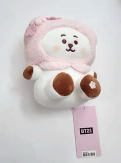BT21 주름 봉제 인형 SPRING DAYS RJ