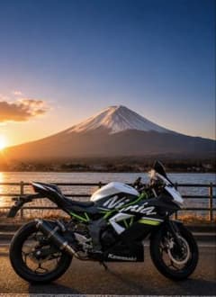 Kawasaki Ninja 250 SL 自賠責保険2029年6月のサムネイル