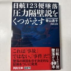 日航123便墜落圧力隔壁説をくつがえすのサムネイル