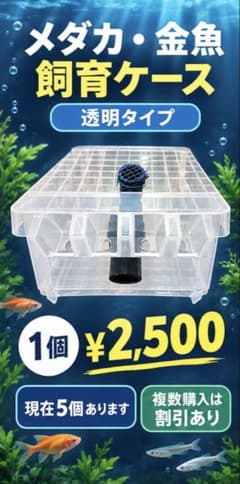メダカ、金魚 オーバーフロー対策水槽。のサムネイル
